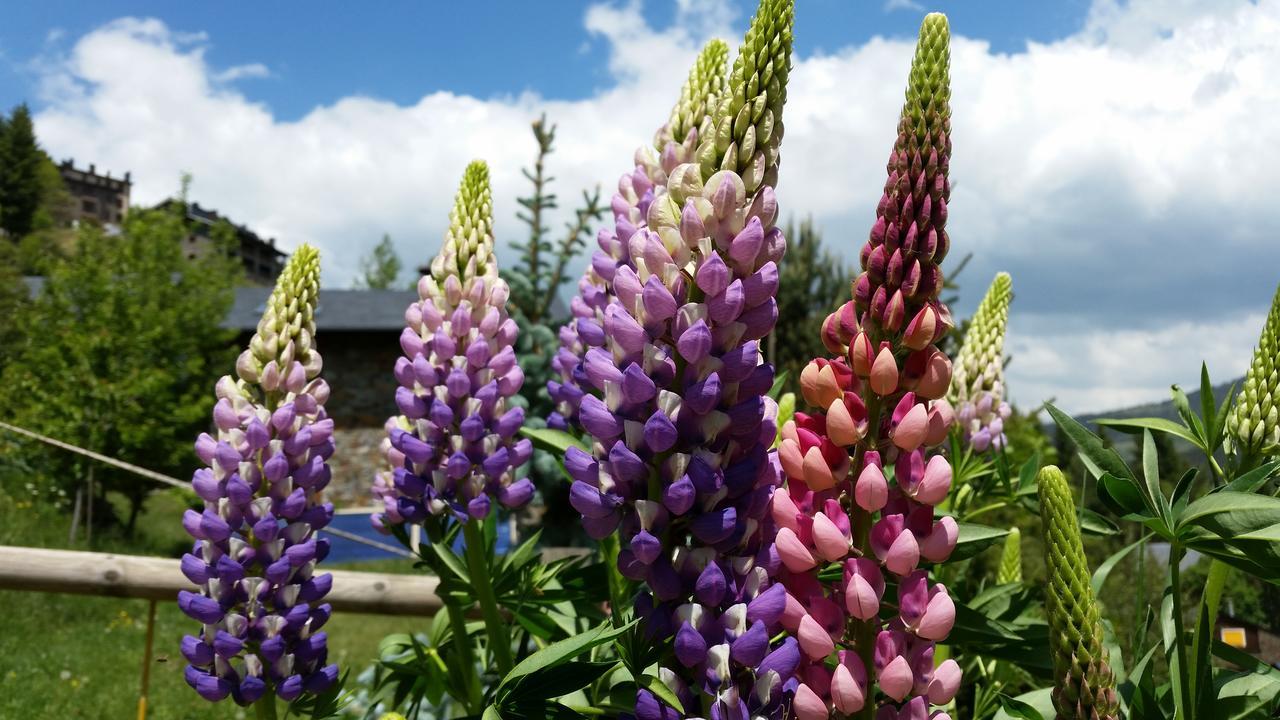 佩雷卡尼庇护小屋旅舍 拉莫利纳 外观 照片